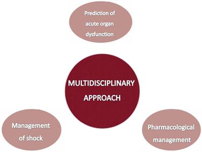 Editorial: Insights in intensive care cardiovascular medicine: 2022